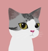 Milo's cat4