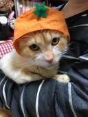 飴間かろん