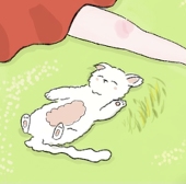 ami