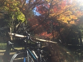セイラ
