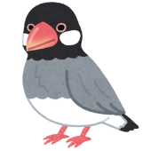 さくらP