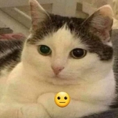 Komi Komi