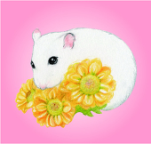 REIKOKO
