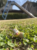 みみみ