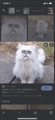 パンチラ怪獣