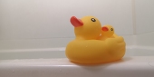 オタクのなれのはて!!