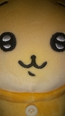 ネン