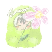せみ