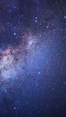 星華