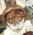 えいぽんたろう