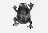 架
