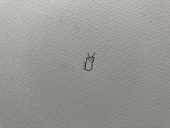 世界を救ったミジンコ