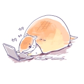 未定