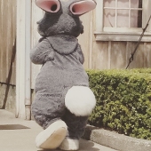 こむぎこ