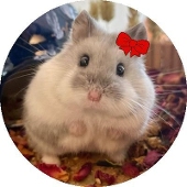 みんあ