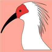 toki