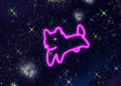 まるてせ11