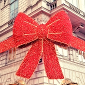 sasa