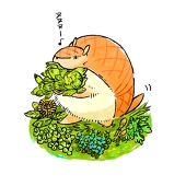 ワニマックス
