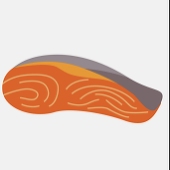 冷凍鮭