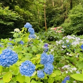 直