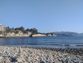冴島