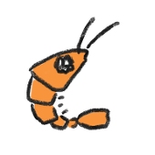 慧