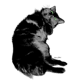 チト：xfolioに移動