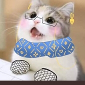钟余弦