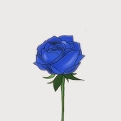 遥か