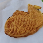 猫崎
