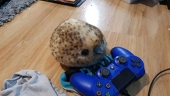 もく