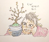 きなコ丸