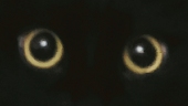 ◇