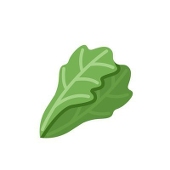 山菜