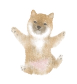 Ami