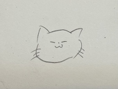 404