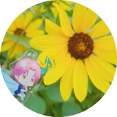 こうさか