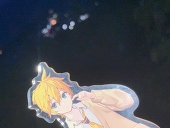 楓
