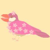 桜文 鳥白