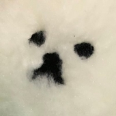 うえだ
