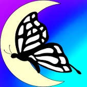 黒蝶