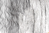 Zhi