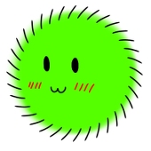 まりも