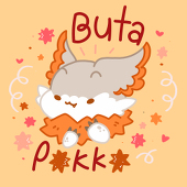 Butapokko