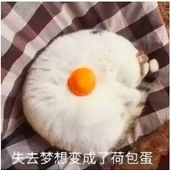 荷包蛋君(可约稿)