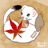 Bko