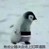 乐正鸽子