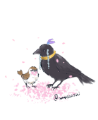 ぞーすい