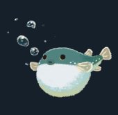 (ふぐ)